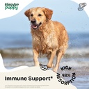 forever-puppy-red-reishi-mushroom-tinctu-2.jpg