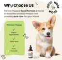 forever-puppy-red-reishi-mushroom-tinctu-6.jpg