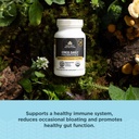 ancient-nutrition-regenerative-organic-c-3.jpg