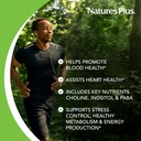 natures-plus-mega-b-150-complex---90-sus-4.jpg