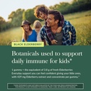 gaia-herbs-gaiakids-black-elderberry-dai-5.jpg