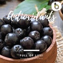 b-organic-aronia-berry-powder---black-ch-6.jpg