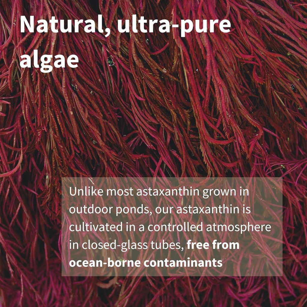 igennus-vegan-astaxanthin-4mg-complex-wi-4.jpg
