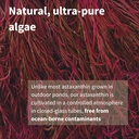 igennus-vegan-astaxanthin-4mg-complex-wi-4.jpg