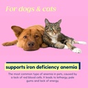 taily-aminopets-liquid-iron-supplements--3.jpg