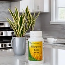slippery-elm-400-mg-100-capsules-gi-coat-3.jpg