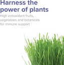 vibrant-health-spectrum-vibrance-vegan-a-3.jpg