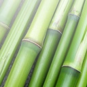 pure-original-ingredients-bamboo-extract-5.jpg