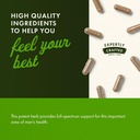 swanson-saw-palmetto---herbal-supplement-5.jpg