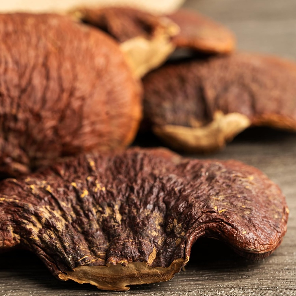 pure-original-ingredients-reishi-mushroo-4.jpg