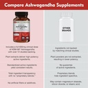 dailynutra-ksm-66-ashwagandha-90-capsule-3.jpg