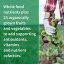 garden-of-life-antioxidant-vitamin-code--3.jpg
