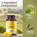 herbamama-boswellia-turmeric-and-mullein-6.jpg