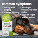 homeopet-leaks-no-more-safe-gentle-and-n-3.jpg