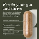 terraflora-advanced-care-synbiotic---sbo-4.jpg