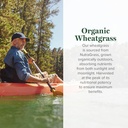 global-healing-wheat-grass-powder-organi-3.jpg