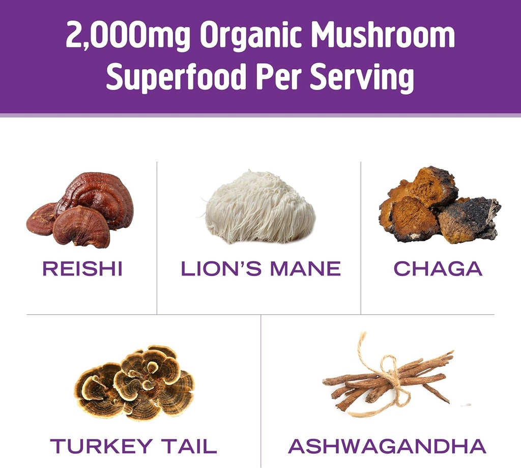 om-mushroom-superfood-hot-chocolate-blen-6.jpg