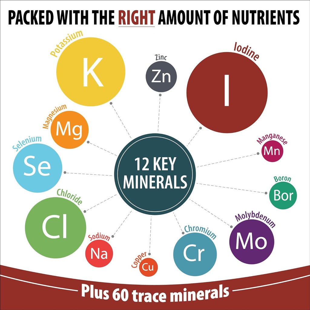trace-mineral-complex-full-spectrum-mine-4.jpg