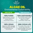 2-pack-algae-omega-3-gummies-1000mg-plan-4.jpg