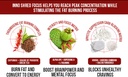 inno-shred-focus-day-time-fat-burner-100-4.jpg
