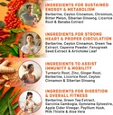 21-in-1-berberine-supplement-with-ceylon-3.jpg