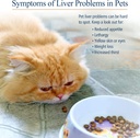 rx-vitamins-hepato-support-for-dogs-cats-4.jpg