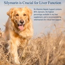 rx-vitamins-hepato-support-for-dogs-cats-5.jpg