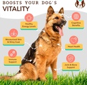 natural-dog-company-16-oz--2-pack-ultra--4.jpg