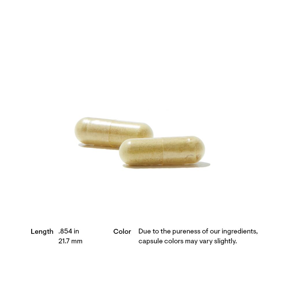 thorne---pancreatic-enzymes-formerly-dip-3.jpg