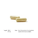 thorne---pancreatic-enzymes-formerly-dip-3.jpg