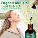 mullein-drops-for-lungs-mullein-leaf-ext-5.jpg