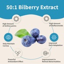 eye-shield-supplement-with-bilberry-extr-6.jpg