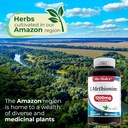 fito-medics-lab---methionine-l-methionin-4.jpg
