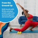 garden-of-life-protein-powder-vegan-prot-6.jpg
