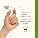 swanson-maximum-strength-peak-atp-natura-4.jpg