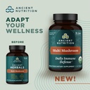 ancient-nutrition-mushroom-supplement-or-2.jpg