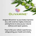 digestivehealth-prebiotic-fiber-boost-su-4.jpg