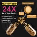 berberine-supplement-1200mg---high-bioav-2.jpg