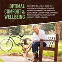 black-cohosh-gummies-for-menopause-relie-4.jpg