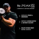 jacked-factory-nitrosurge-pre-workout-in-5.jpg