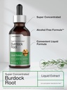horbaach-burdock-root-tincture-2-fl-oz-s-4.jpg