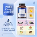 sotalix-supplement-nad-boosting-all-in-1-4.jpg