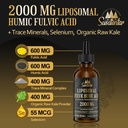trace-minerals-electrolytes-drops-2000-m-5.jpg