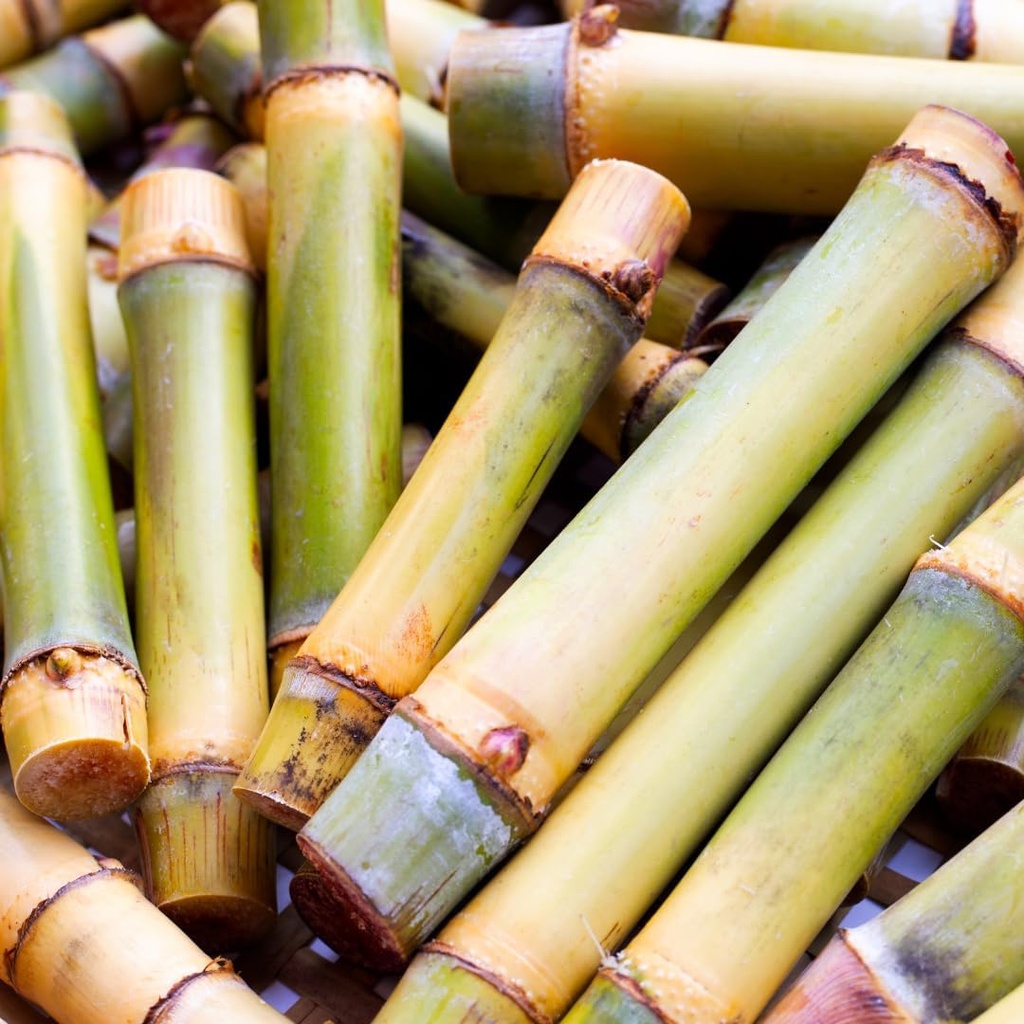 pure-original-ingredients-bamboo-extract-4.jpg
