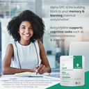 acetylcholine-supplement-99-alpha-gpc-ca-5.jpg
