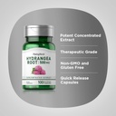 piping-rock-hydrangea-root-capsules-500m-4.jpg