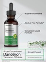 horbaach-dandelion-root-extract-suppleme-3.jpg