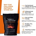 intelligent-labs-hydrolyzed-type-1-and-3-3.jpg