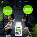 herbolab-tongkat-ali-for-men-root-supple-5.jpg
