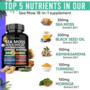 adndale-sea-moss-black-seed-oil-ashwagan-2.jpg